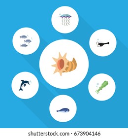 Flat Icon Sea Set Of Cachalot, Fish, Playful Fish And Other Vector Objects. Also Includes Whale, Jellyfish, Dolphin Elements.