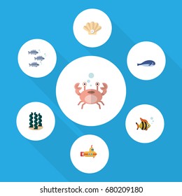 Flat Icon Sea Set Of Cachalot, Periscope, Cancer And Other Vector Objects. Also Includes Seaweed, Pearl, Alga Elements.