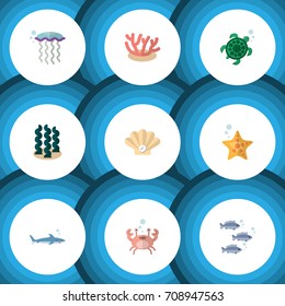 Flat Icon Sea Set Of Cancer, Medusa, Tuna And Other Vector Objects. Also Includes Algae, Seashell, Medusa Elements.