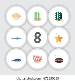 Flat Icon Sea Set Of Conch, Shark, Sea Star And Other Vector Objects. Also Includes Algae, Cachalot, Starfish Elements.
