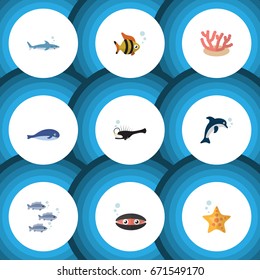 Flat Icon Sea Set Of Fish, Scallop, Cachalot And Other Vector Objects. Also Includes Algae, Scallop, Seafood Elements.