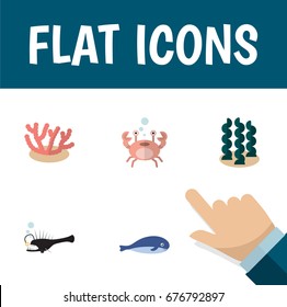 Flat Icon Sea Set Of Fish, Cachalot, Alga And Other Vector Objects. Also Includes Algae, Fish, Melanocetus Elements.