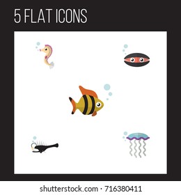 Flat Icon Sea Set Of Hippocampus, Seafood, Scallop And Other Vector Objects.  