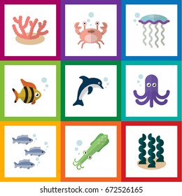 Flat Icon Sea Set Of Medusa, Tentacle, Playful Fish And Other Vector Objects. Also Includes Alga, Cancer, Tuna Elements.