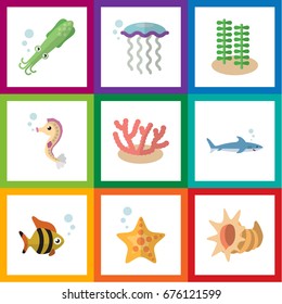 Flat Icon Sea Set Of Medusa, Algae, Hippocampus And Other Vector Objects. Also Includes Algae, Horse, Octopus Elements.