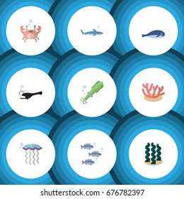 Flat Icon Sea Set Of Medusa, Fish, Tuna And Other Vector Objects. Also Includes Algae, Jellyfish, Shark Elements.