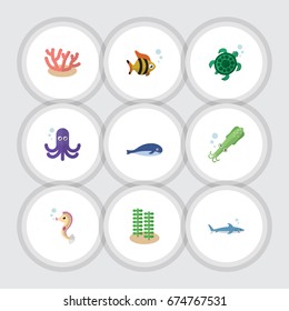 Flat Icon Sea Set Of Octopus, Seaweed, Hippocampus And Other Vector Objects. Also Includes Algae, Squid, Octopus Elements.