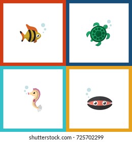 Flat Icon Sea Set Of Scallop, Seafood, Tortoise And Other Vector Objects. Also Includes Seashell, Tortoise, Fish Elements.
