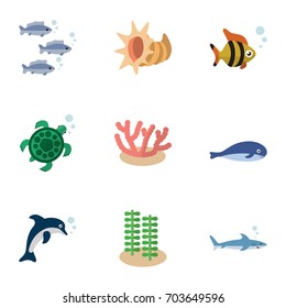 Flat Icon Sea Set Of Seafood, Algae, Cachalot And Other Vector Objects. Also Includes Scallop, Dolphin, Playful Elements.