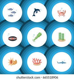 Flat Icon Sea Set Of Seaweed, Tuna, Algae And Other Vector Objects. Also Includes Spirulina, Coral, Tentacle Elements.