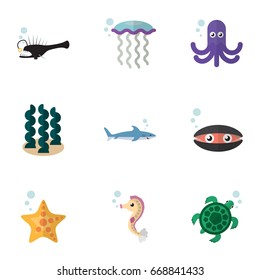 Flat Icon Sea Set Of Shark, Medusa, Hippocampus And Other Vector Objects. Also Includes Shark, Underwater, Seaweed Elements.