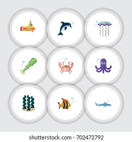Flat Icon Sea Set Of Shark, Tentacle, Seafood And Other Vector Objects. Also Includes Underwater, Seaweed, Gray Elements.