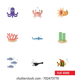 Flat Icon Sea Set Of Shark, Seashell, Algae And Other Vector Objects. Also Includes Cockleshell, Gray, Tuna Elements.