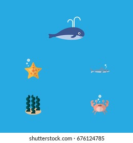 Flat Icon Sea Set Of Sea Star, Cachalot, Cancer And Other Vector Objects. Also Includes Starfish, Humpback, Gray Elements.