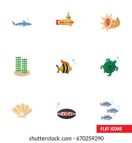Flat Icon Sea Set Of Tortoise, Seashell, Seaweed And Other Vector Objects. Also Includes Scallop, Underwater, Seashell Elements.