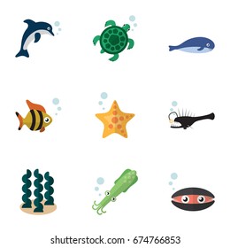 Flat Icon Sea Set Of Tortoise, Octopus, Sea Star And Other Vector Objects. Also Includes Humpback, Octopus, Dolphin Elements.