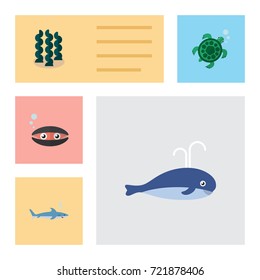 Flat Icon Sea Set Of Tortoise, Shark, Alga And Other Vector Objects. Also Includes Turtle, Algae, Seashell Elements.