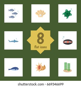Flat Icon Sea Set Of Tuna, Cachalot, Seashell And Other Vector Objects. Also Includes Turtle, Sea, Cachalot Elements.