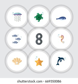 Flat Icon Sea Set Of Tuna, Cachalot, Hippocampus And Other Vector Objects. Also Includes Medusa, Horse, Star Elements.
