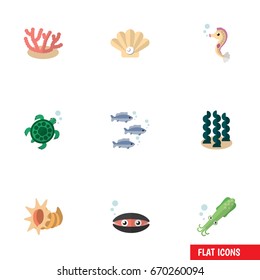 Flat Icon Sea Set Of Tuna, Tortoise, Conch And Other Vector Objects. Also Includes Mollusk, Conch, Seafood Elements.