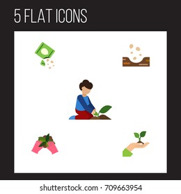 Flat Icon Seed Set Of Packet, Florist, Seed And Other Vector Objects. Also Includes Glove, Care, Plant Elements.