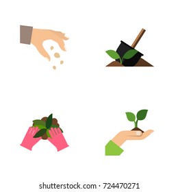 Flat Icon Sow Set Of Care, Sow, Soil And Other Vector Objects. Also Includes Sow, Soil, Shovel Elements.