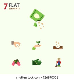 Flat Icon Sow Set Of Glove, Sow, Seed And Other Vector Objects. Also Includes Glove, Plant, Soil Elements.