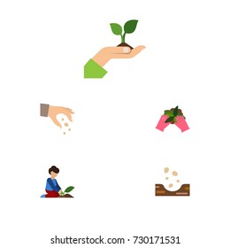 Flat Icon Sow Set Of Plant, Seed, Care And Other Vector Objects. Also Includes Soil, Care, Seed Elements.