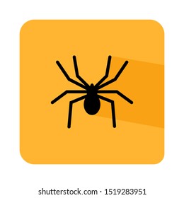 flat icon spider for halloween