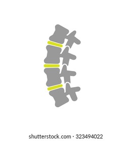 Flat Icon of Spine Isolated on White Background. Vector Illustration