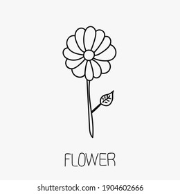 Icono plano de С hamomile con vector de líneas negras delgadas, aislado en fondo blanco. Símbolo floral de aislamiento para el concepto de jardín y esténcil. Símbolo de icono de flor para ecología, signo de boho de lujo