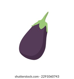 Flat icon vegetable eggplant isolated on white background. Vector illustration.