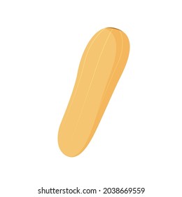Flat icon with yellow squash vegetable marrow zucchini vector illustration