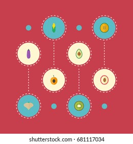 Flat Icons Alligator Pear, Exotic Dessert, Maize And Other Vector Elements. Set Of Berry Flat Icons Symbols Also Includes Bulb, Pear, Nectarine Objects.