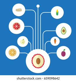 Flat Icons Alligator Pear, Jonagold, Orange And Other Vector Elements. Set Of Fruit Flat Icons Symbols Also Includes Grapefruit, Maize, Fruit Objects.