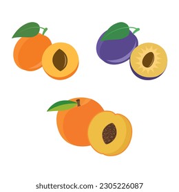 Flat icons apricot, plum and peach isolated on white background. Seasonal fruits. Vector illustration.