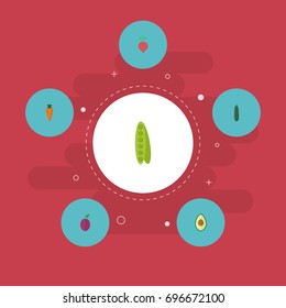 Flat Icons Bean, Root, Alligator Pear And Other Vector Elements. Set Of Dessert Flat Icons Symbols Also Includes Pear, Plum, Beet Objects.
