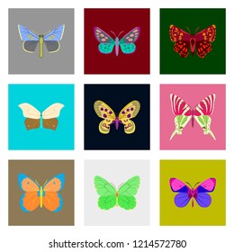 Flat icons big collection of colorful butterflies