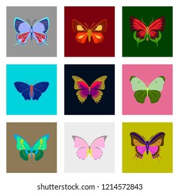 Flat icons big collection of colorful butterflies
