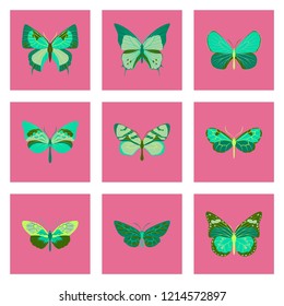 Flat icons big collection of colorful butterflies