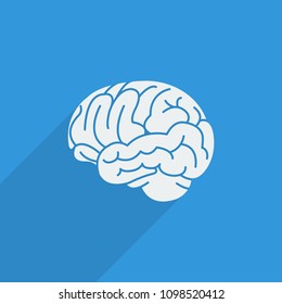 flat icons for Brain,vector illustrations