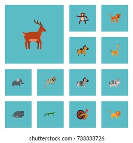 Flat Icons Camelopard, Horse, Moose And Other Vector Elements. Set Of Animal Flat Icons Symbols Also Includes Wildcat, Cow, Gorilla Objects.