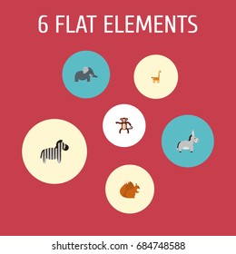 Flat Icons Camelopard, Trunked Animal, Jackass And Other Vector Elements. Set Of Zoology Symbols Also Includes Animal, Camelopard, Horse Objects.