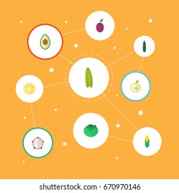 Flat Icons Cauliflower, Alligator Pear, Maize And Other Vector Elements. Set Of  Flat Icons Symbols Also Includes Dragon, Fruit, Peas Objects.