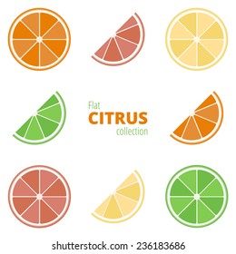 Flat icons of citrus on a white background. Geometric citrus: lemon, lime, grapefruit, orange. Colorful fruit in a flat style