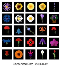 Flat icons of different flowers.