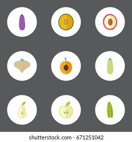 Flat Icons Duchess, Aubergine, Pumpkin And Other Vector Elements. Set Of Berry Flat Icons Symbols Also Includes Cantaloupe, Pear, Soybean Objects.