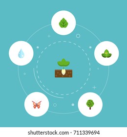 Flat Icons Eco Energy, Sprout, Wood And Other Vector Elements. Set Of Nature Flat Icons Symbols Also Includes Monarch, Sprout, Moth Objects.