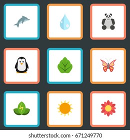Flat Icons Emperor, Foliage, Bear And Other Vector Elements. Set Of Nature Flat Icons Symbols Also Includes Flora, Polar, Moth Objects.