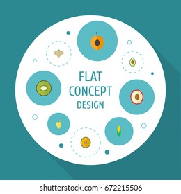 Flat Icons Exotic Dessert, Maize, Garlic And Other Vector Elements. Set Of Fruit Flat Icons Symbols Also Includes Fruit, Lychee, Greens Objects.
